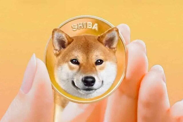 Shiba Inu's Recovery Attempt Faces Setback