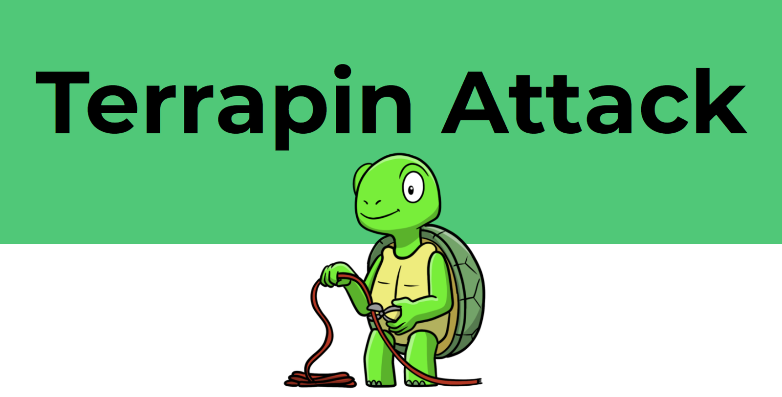 The Terrapin Vulnerability in OpenSSH