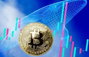 Bitcoin's Rollercoaster Ride