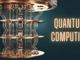 Taming the Quantum Beast