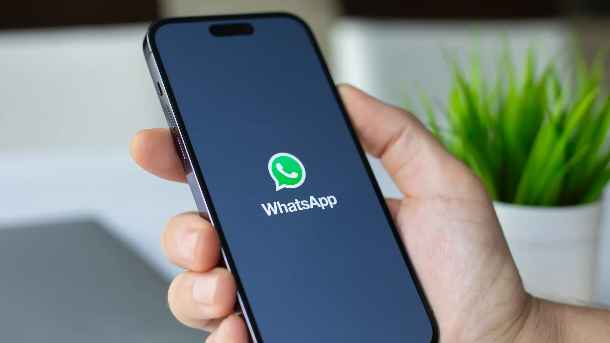 Is WhatsApp's Meta AI Your New Scam Shield